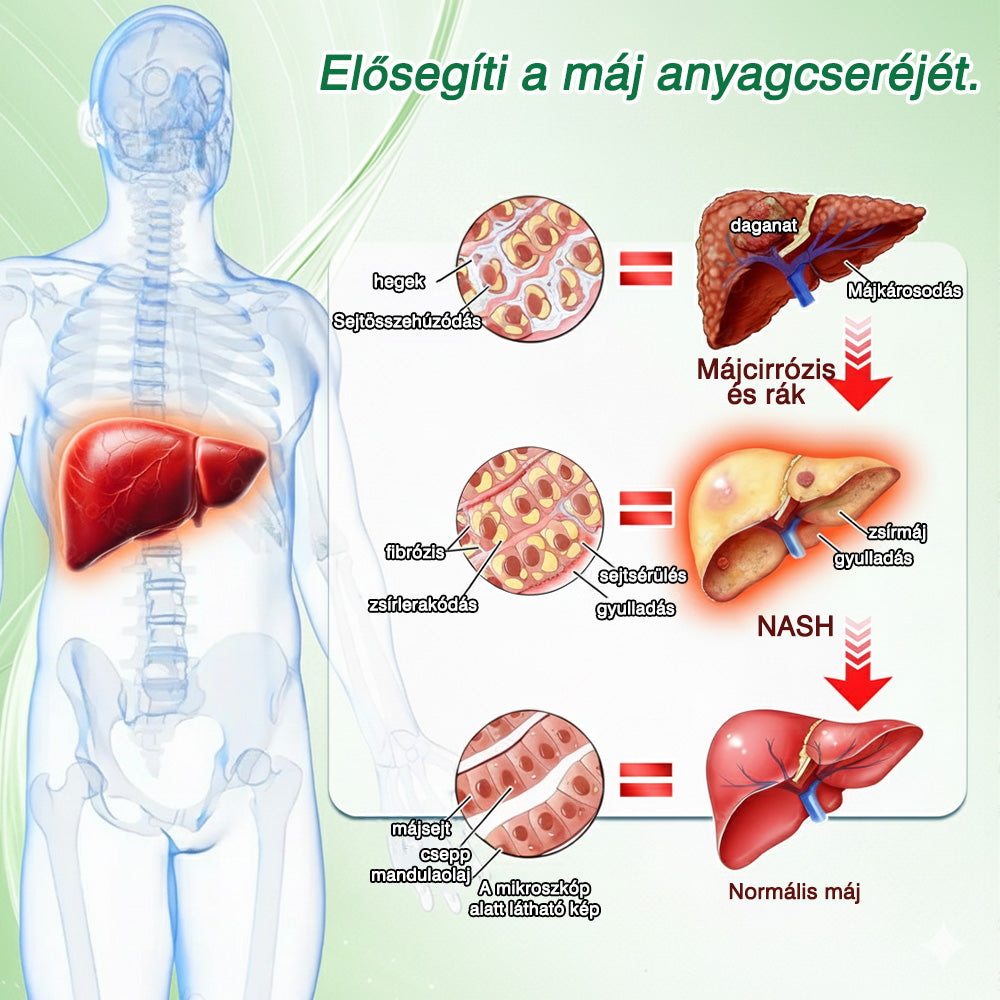 🔥 Élvezze a 15% kedvezményt a második termék hozzáadásakor – GFOUK® Moringa