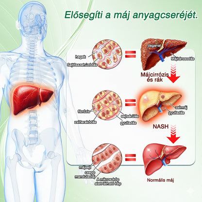 🔥 Élvezze a 15% kedvezményt a második termék hozzáadásakor – GFOUK® Moringa