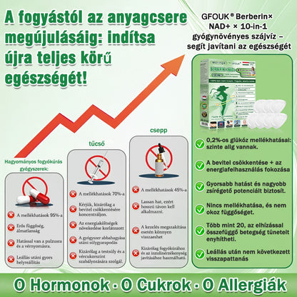🇭🇺🎁 Az Európai Unió és Magyarország hatályos jogszabályainak megfelelően | 🧑‍⚕️ GFOUK® Moringa · Berberin × NAD+ 10 az 1-ben Fejlett Nanomikrotűs Tapasz | Tudományosan megalapozott | 10 az 1-ben formula | Látható eredmények 7 nap alatt ✅