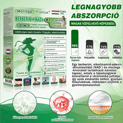 🇭🇺🎁 Az Európai Unió és Magyarország hatályos jogszabályainak megfelelően | 🧑‍⚕️ GFOUK® Moringa · Berberin × NAD+ 10 az 1-ben Fejlett Nanomikrotűs Tapasz | Tudományosan megalapozott | 10 az 1-ben formula | Látható eredmények 7 nap alatt ✅