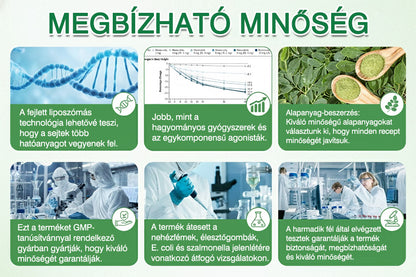 🇭🇺🎁 Az Európai Unió és Magyarország hatályos jogszabályainak megfelelően | 🧑‍⚕️ GFOUK® Moringa · Berberin × NAD+ 10 az 1-ben Fejlett Nanomikrotűs Tapasz | Tudományosan megalapozott | 10 az 1-ben formula | Látható eredmények 7 nap alatt ✅
