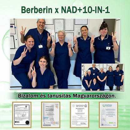 🇭🇺🎁 Az Európai Unió és Magyarország hatályos jogszabályainak megfelelően | 🧑‍⚕️ GFOUK® Moringa · Berberin × NAD+ 10 az 1-ben Fejlett Nanomikrotűs Tapasz | Tudományosan megalapozott | 10 az 1-ben formula | Látható eredmények 7 nap alatt ✅